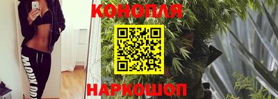 каннабис Славгород