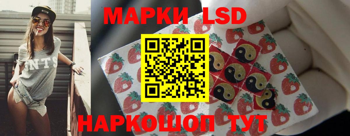 Новозыбков  Лсд 25 экстази  Лсд 25 экстази кислота  Вход с VPN  ЛСД экстази кислота 