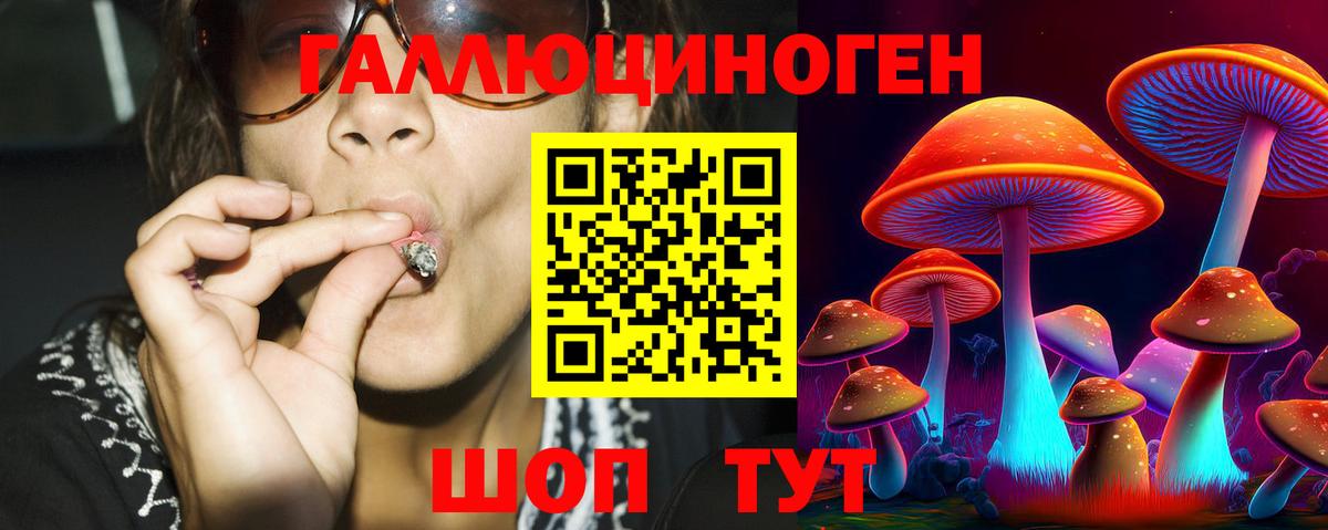 Новозыбков  Псилоцибиновые грибы Psilocybe  Вход с VPN 